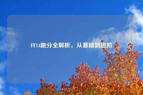 FF14跑分全解析，从基础到进阶