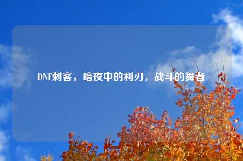 DNF刺客，暗夜中的利刃，战斗的舞者